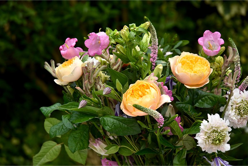 Arena Flowers: Redefining Floristry with Ethics, Beauty, and Purpose