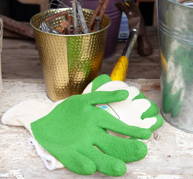 Ethical Superstore: Making Sustainable Choices Simple for Every Household