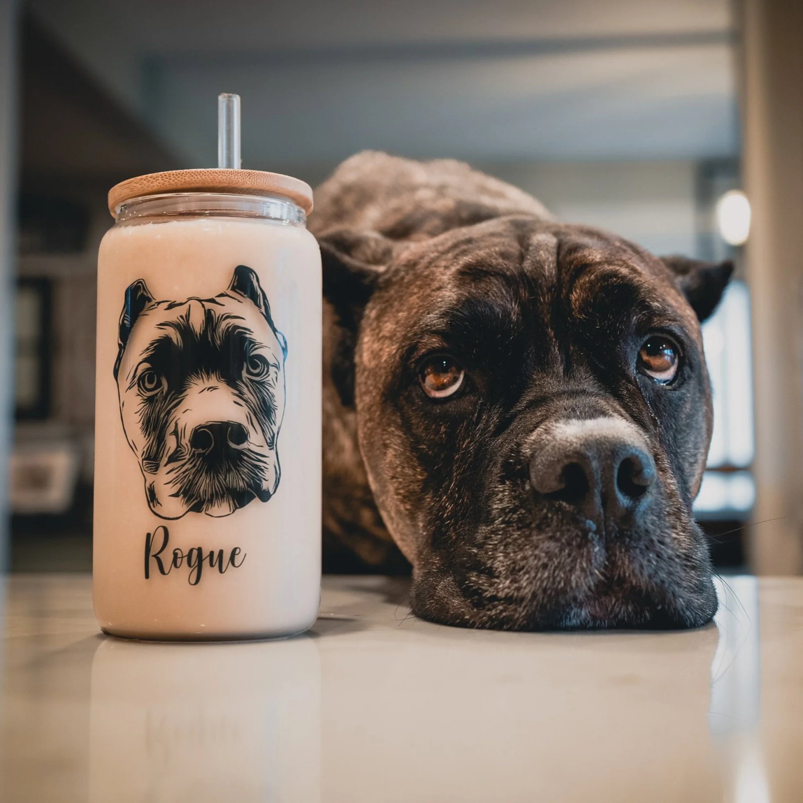 Purr & Mutt: Where Your Pet Becomes a True Work of Art