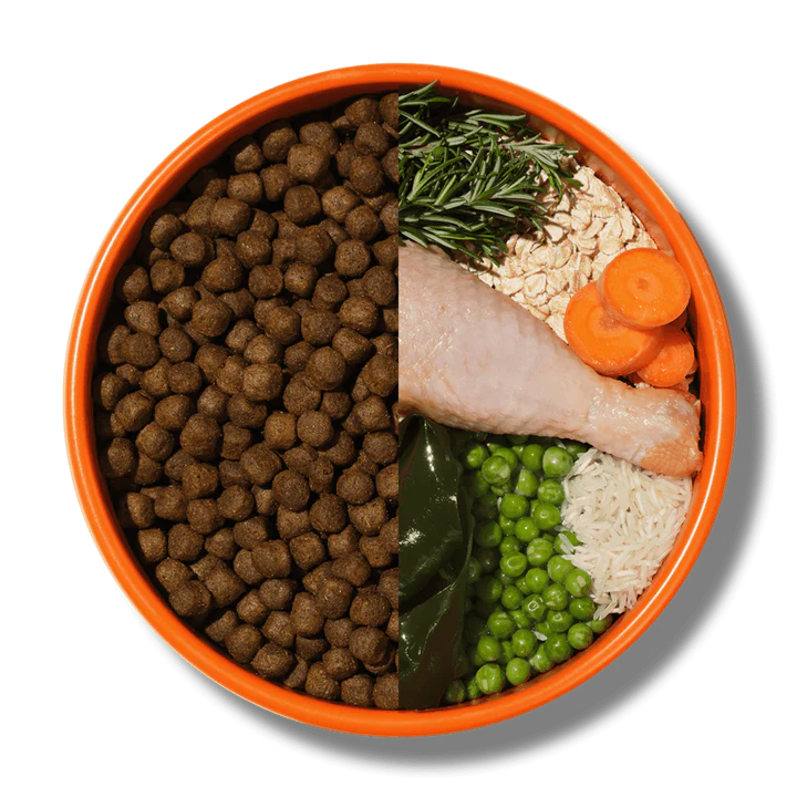Deliciously Healthy: Exploring the Barking Heads Dog Food Range